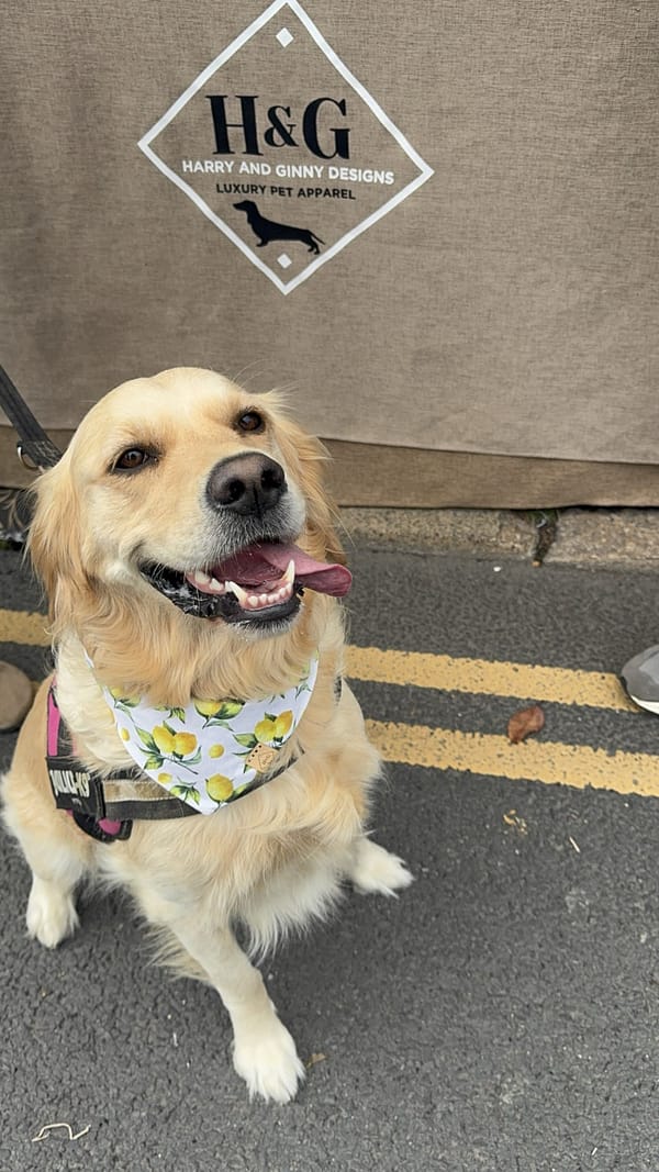 Lusty Lemon- H&G Summer Collection Bandana - Image 2