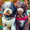 Autumn Puddles - Reversible Fleece Snood - Image 2