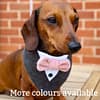 Grey Tweed Pupxedo - The Tux for your Pup