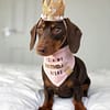 It's my Birthday Bishs - Available in Pink & Blue