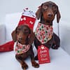 Christmas Cookies - Christmas Bandana - Image 5