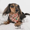 Christmas Cookies - Christmas Bandana - Image 4