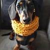 Mustard Knitted Dog Snood - Image 4