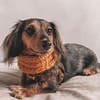 Mustard Knitted Dog Snood - Image 2