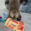 Bone Bakes plush hide and seek toy with squeakers and crinkle sound - Image 3