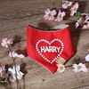 Personalised Valentines Heart Bandana - Personalise with your Dogs Name - Image 5
