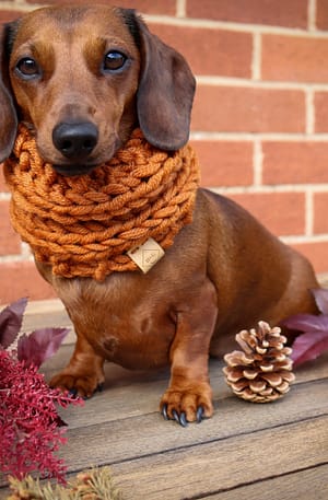 Bronze Knitted Dog Snood