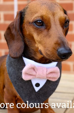 Grey Tweed Pupxedo - The Tux for your Pup