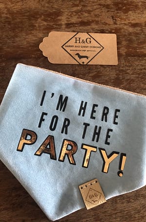 I'm Here for the Party Bandana - Available in Pink and Blue