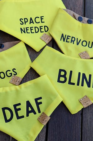 Warning and Attention Bandanas - Nervous, Blind , Deaf, In Recovery, Spinal Injury, No Dogs, Space Needed