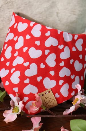 Love is in the Air - Valentines Bandana