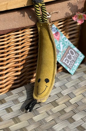 Barry the Banana Green & Wilds Eco Dog Toy