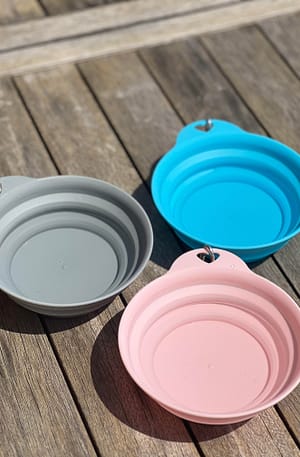 Collapsible Travel Bowl - in Pink Blue & Grey