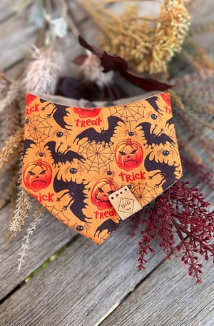 Spooky Pumpkins and Bats Bandana  - H&G Autumn & Halloween Collection