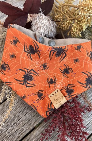 Spider and Web - H&G Autumn & Halloween Collection