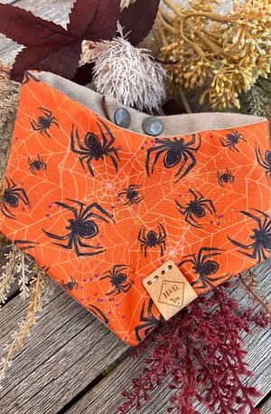 Spider and Web - H&G Autumn & Halloween Collection