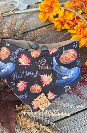 Witches hats - H&G Autumn & Halloween Collection