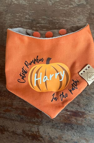 Cutest Pumpkin in the Patch - customisable with your dogs name
