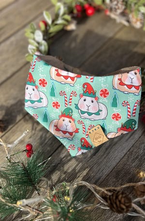 Guinea Pig - Elf - Christmas Collection 2023