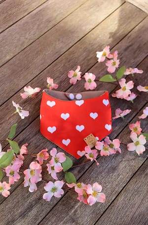 Lovestruck  - Valentines Dog Bandana and option to add matching Scrunchie