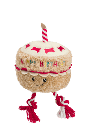 Birthday Cake with Candle - Plush Toy with Squeaker and Rope