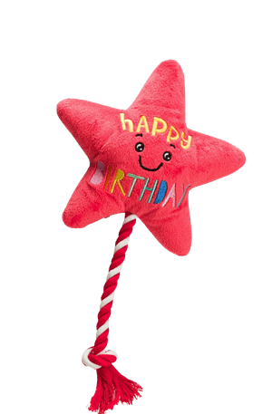 Birthday Star Balloon - Plush Dog Toy with Squeaker and Rope