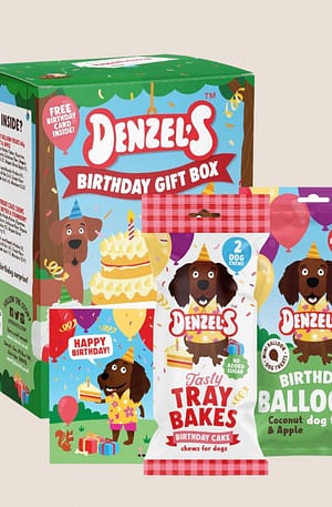 Denzels Birthday Box of dog treats