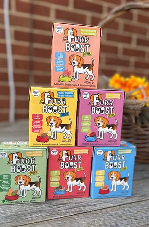 Furr Boost - available in 6 flavours- Healthy Hydration for your dog - Freezable enrichment