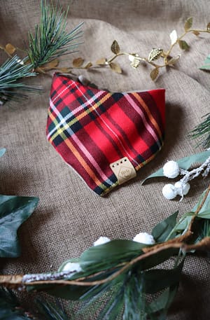 Scottie Dog Tartan - Christmas Collection Bandana