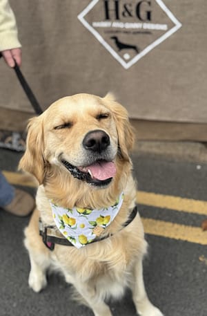 Lusty Lemon- H&G Summer Collection Bandana