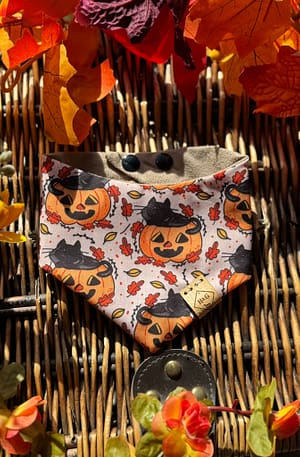 Purrfect Pumpkin - H&G Autumn Collection Bandana