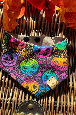Neon Rainbow Pumpkins - H&G Autumn Collection Bandana