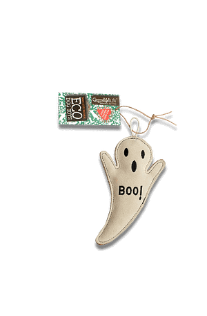 Boo Hoo Ghost- Green and Wilds Halloween Toy