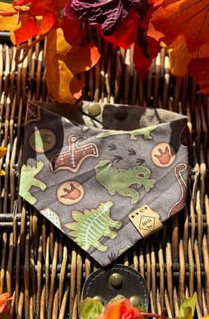 Dino Cookies- H&G Autumn Collection Bandana