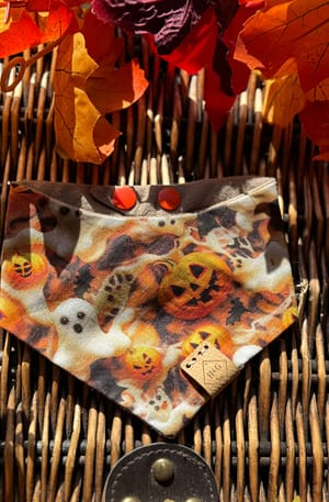 Boo Crew- H&G Autumn Collection Bandana