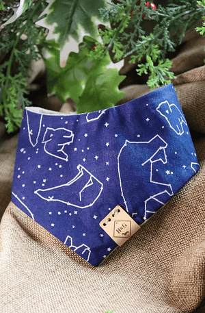 Polar Constellation - Christmas Bandana