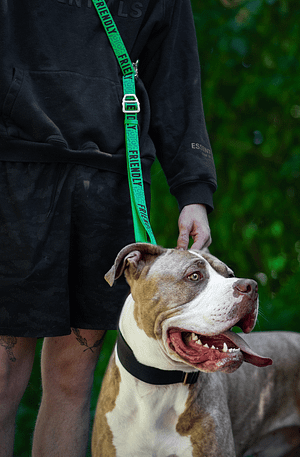 Twiggy Tags Awareness Multi-Way Training Lead- Friendly