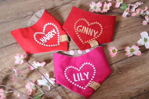 Personalised Valentines Heart Bandana - Personalise with your Dogs Name - Image 3