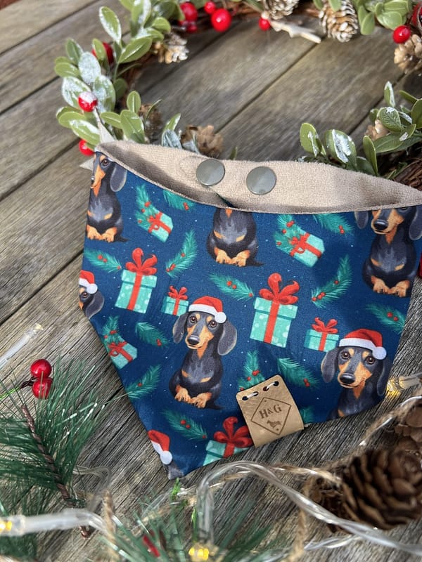 Dachshund & Presents - Christmas Collection 2023