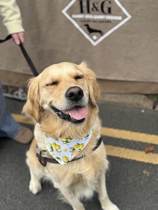 Lusty Lemon- H&G Summer Collection Bandana