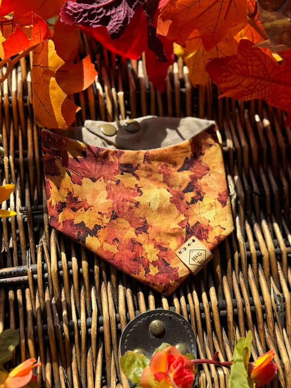 Golden Maple Leaves - H&G Autumn Collection Bandana - Image 2