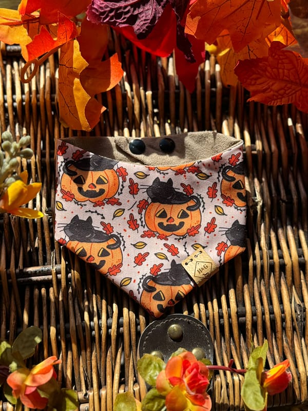 Purrfect Pumpkin - H&G Autumn Collection Bandana