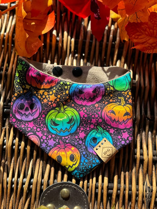 Neon Rainbow Pumpkins - H&G Autumn Collection Bandana