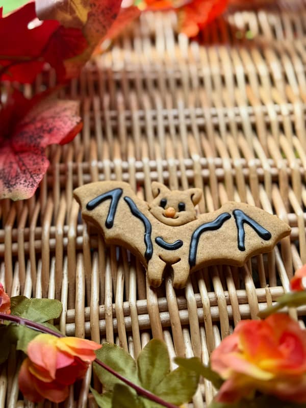 Halloween Iced Bat- Grain Free Handmade Dog Biscuits - Image 2