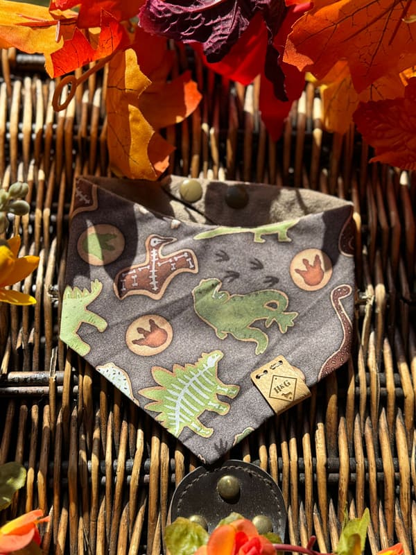Dino Cookies- H&G Autumn Collection Bandana