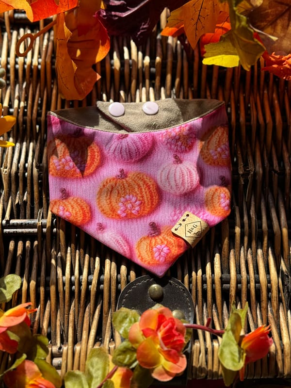 Cute Knitted Pumpkins- H&G  Autumn Collection Bandana