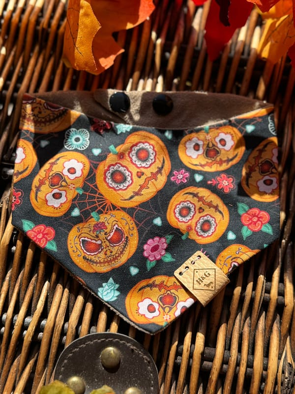 Pumpkin Fiesta - H&G Autumn Collection Bandana - Image 6