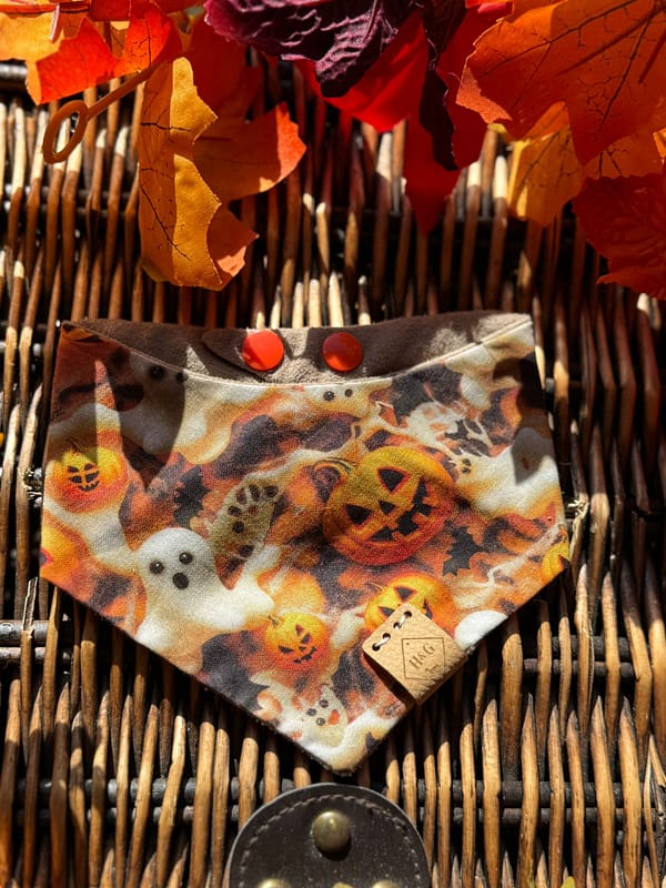 Boo Crew- H&G Autumn Collection Bandana