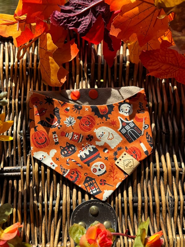 This is Halloween- H&G Autumn Collection Bandana - Image 6