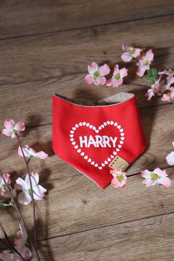 Personalised Valentines Heart Bandana - Personalise with your Dogs Name - Image 5